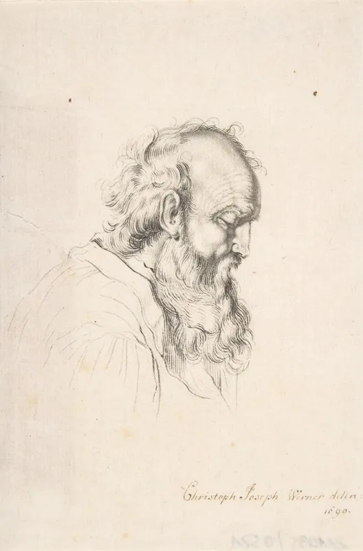 Bearded Man 2 Wall Art by Christoph Joseph Werner - High-Resolution Digital Print
