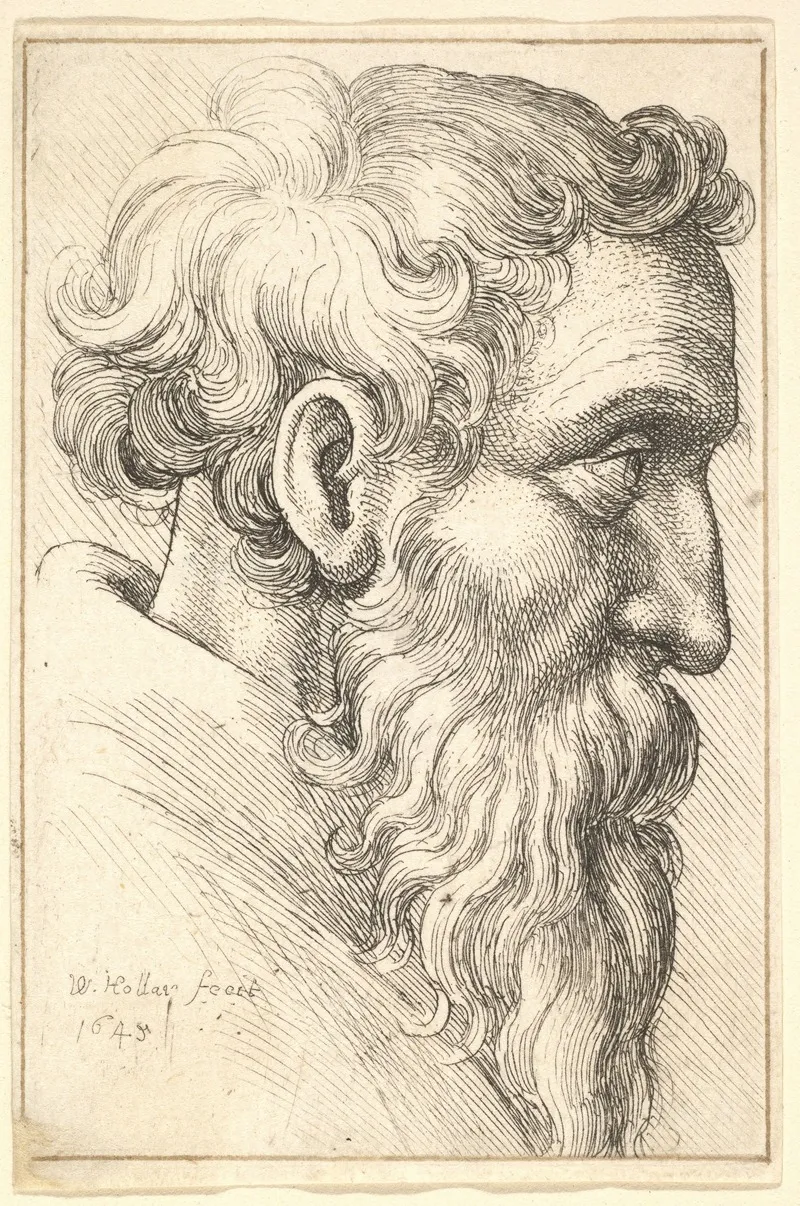 Bearded Old Man In Profile To Right