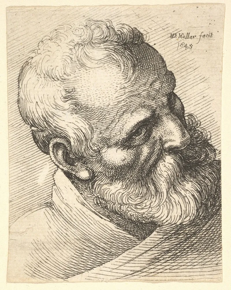 Bearded Old Man With A Tilted Head