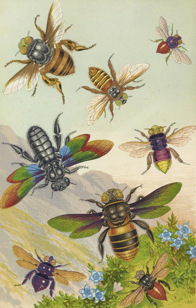 Beautiful Exotic Bees Wall Art by Barret And Sons - High-Resolution Digital Print