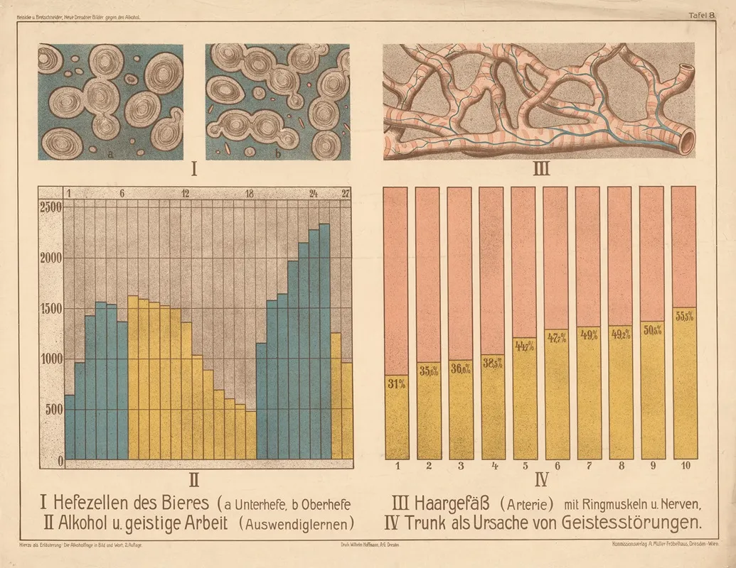 Beer Yeast Arteries Alcohol Spiritual Work Wall Art by Wilhelm Hoffmann, A.G. - High-Resolution Digital Print