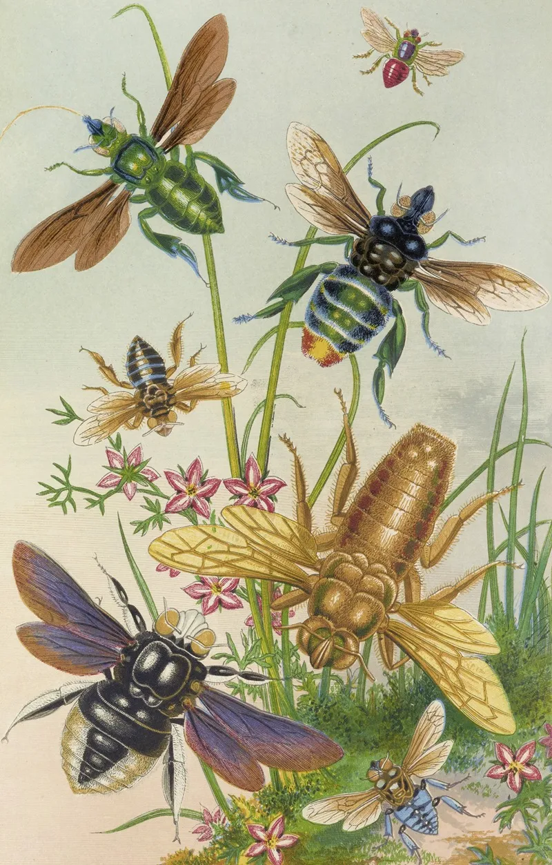 Bees And Their Conterfeits Wall Art by Barret And Sons - High-Resolution Digital Print