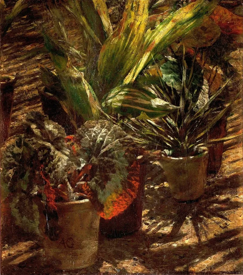 Begonias 3 Wall Art by Aleksander Gierymski - High-Resolution Digital Print