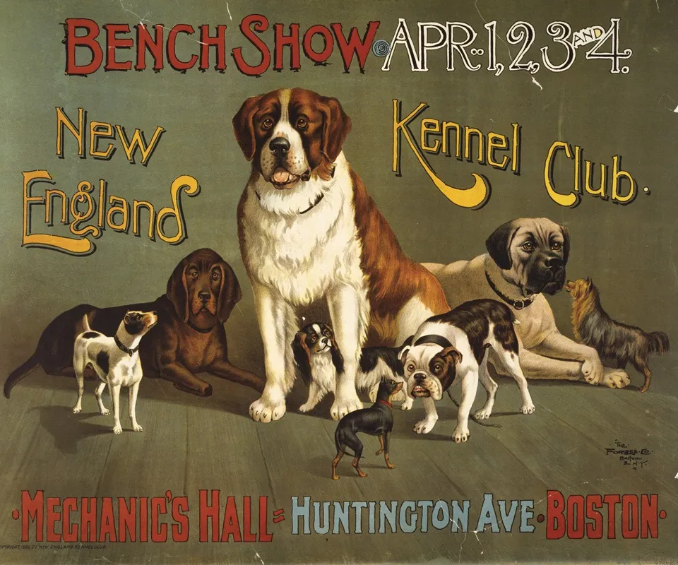 Bench Show New England Kennel Club