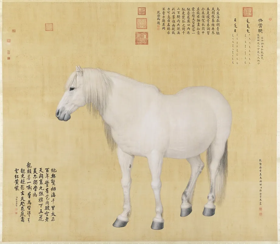 Benxiaocong
