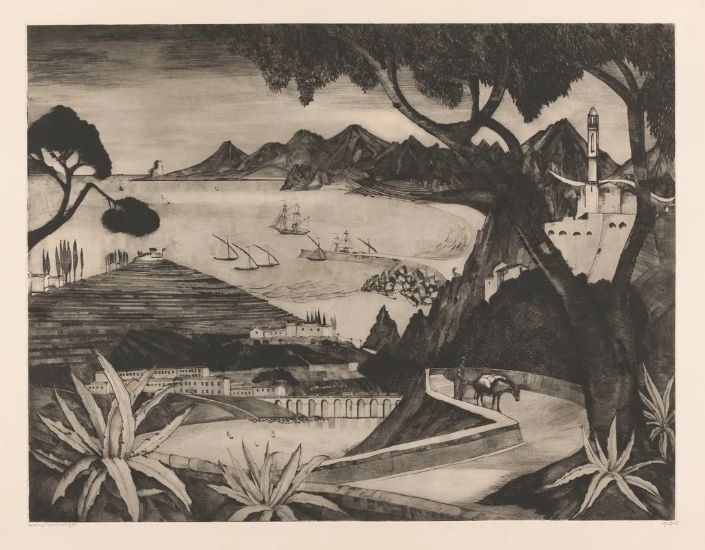 Berglandschap Met Baai Op Corsica