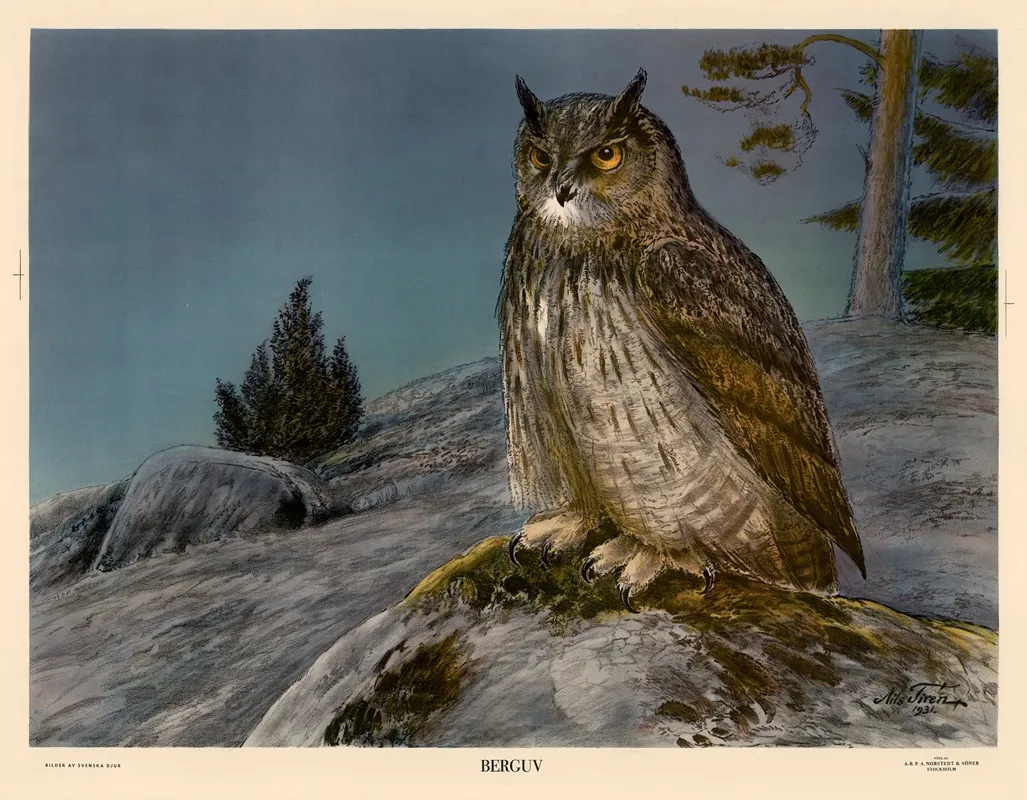Berguv Wall Art by Nils Tirén - High-Resolution Digital Print