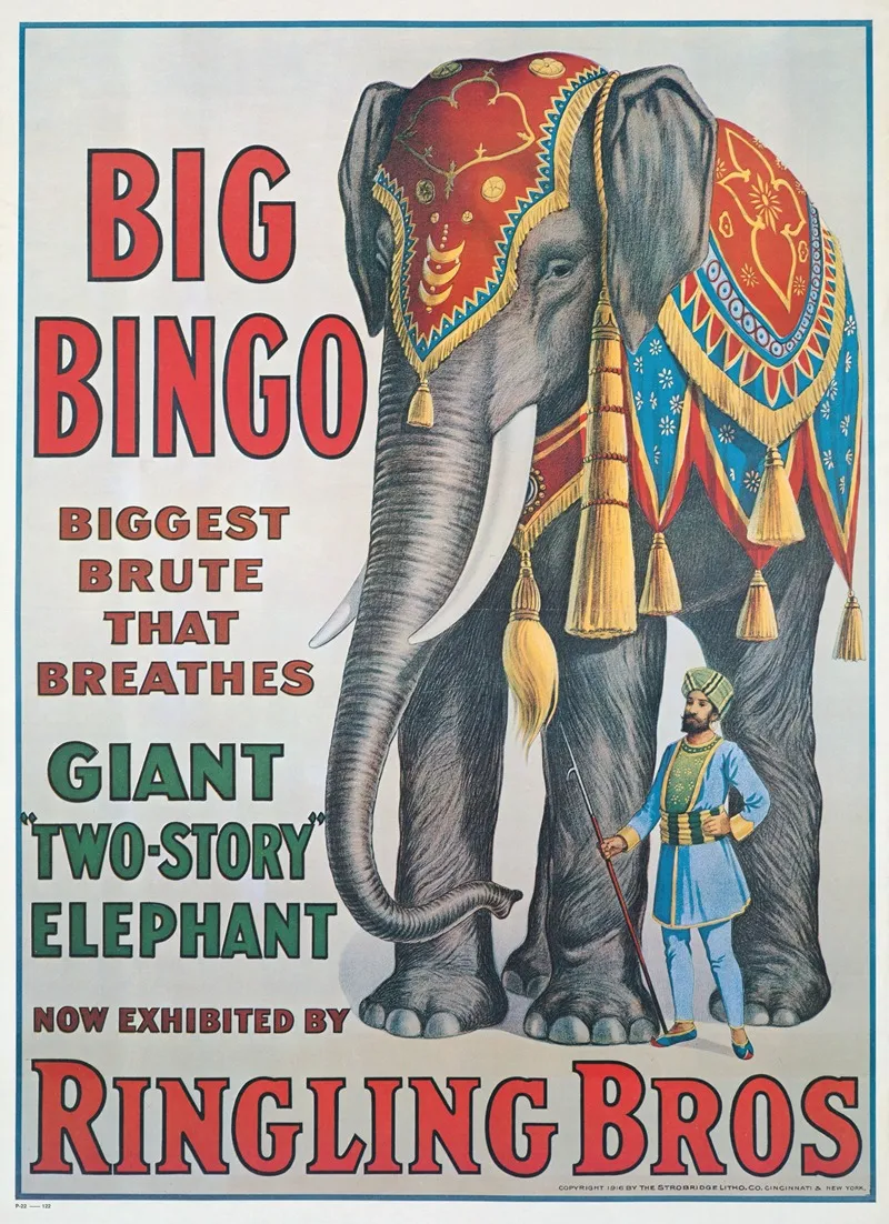 Big Bingo Wall Art by Anonymous - High-Resolution Digital Print