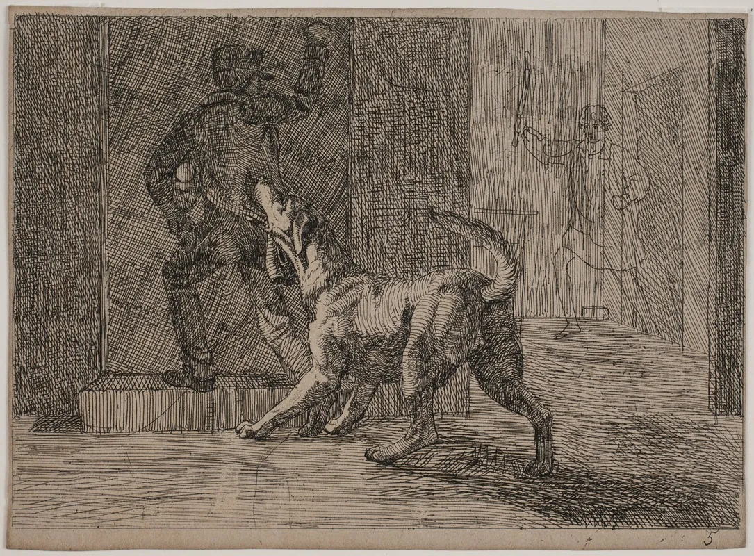 Billede 5