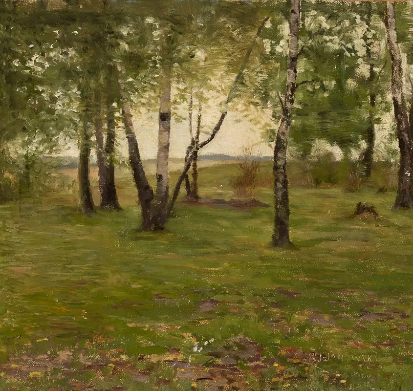 Birch Trees 3 Wall Art by Ludomir Janowski - High-Resolution Digital Print