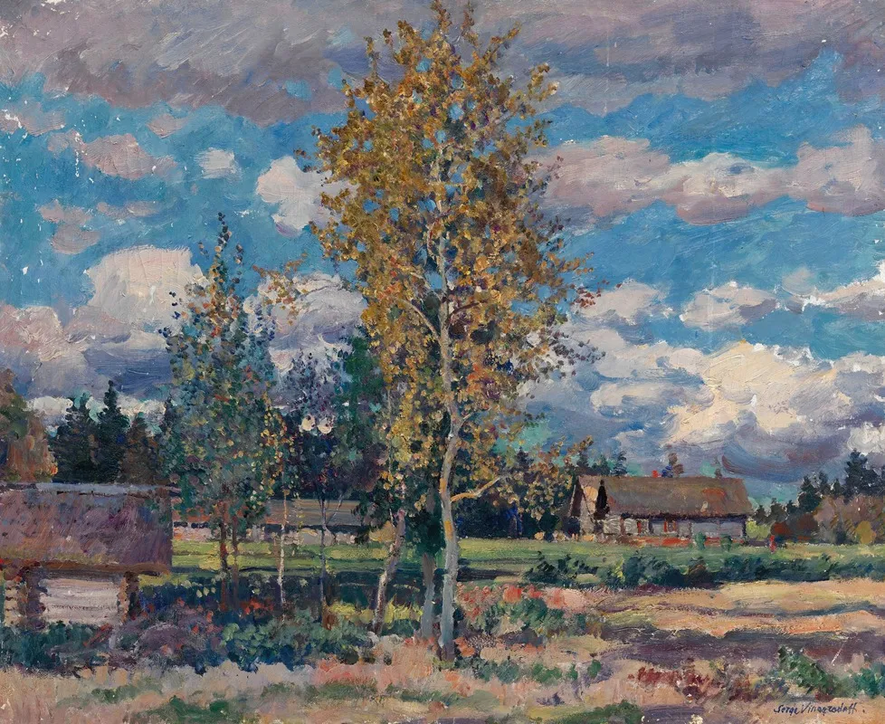 Birch Trees Sunny Day