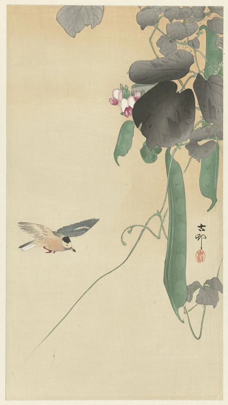 Bird At Flowering Bean Plant Wall Art by Ohara Koson - High-Resolution Digital Print