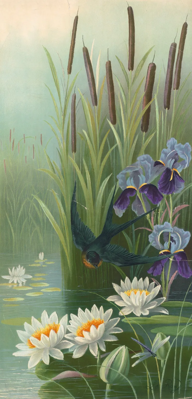 Bird Flying Over Water With Cat Tail Plants Irises And Water Lilies Wall Art by Le Roy - High-Resolution Digital Print