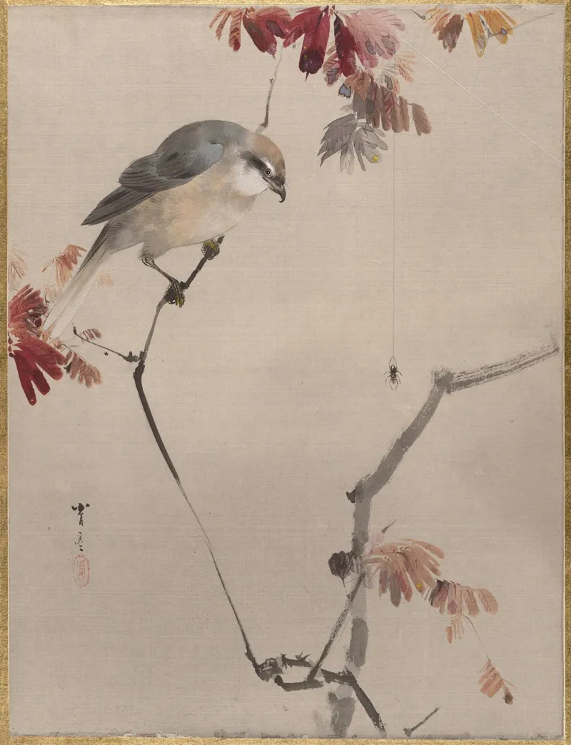 Bird On Branch Watching Spider
