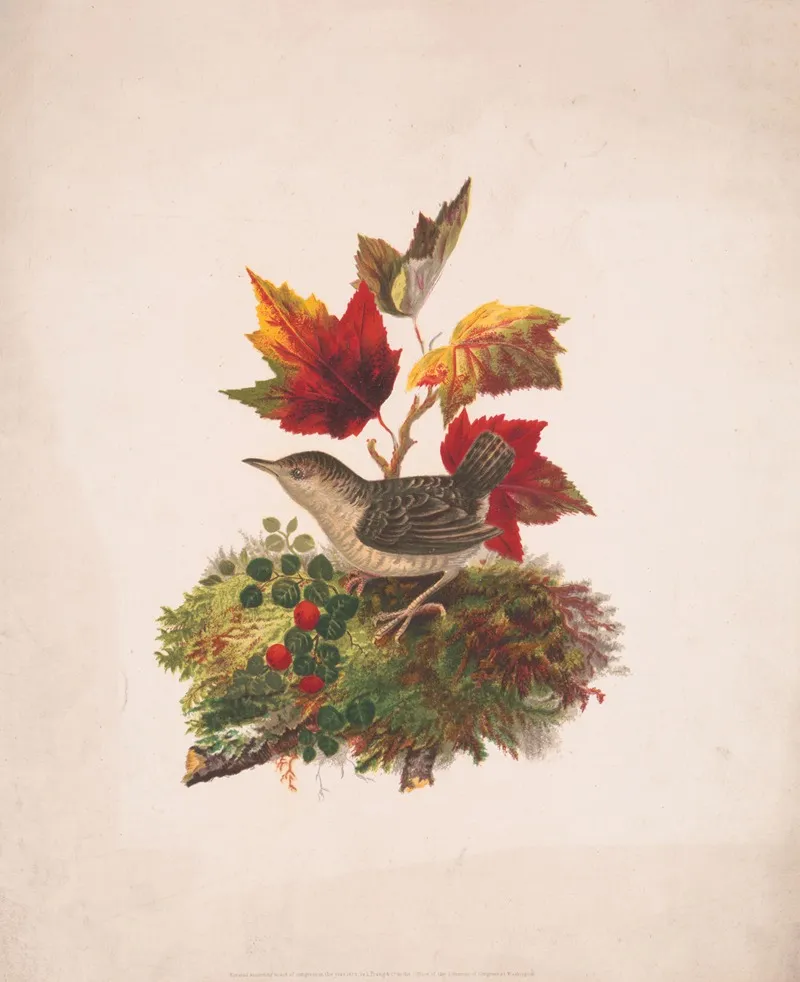 Bird With Autumn Foliage