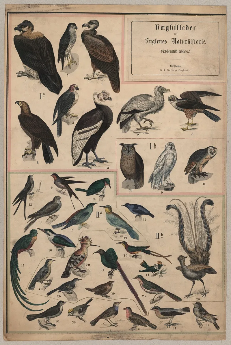 Birds I Wall Art by P.T. Malling - High-Resolution Digital Print