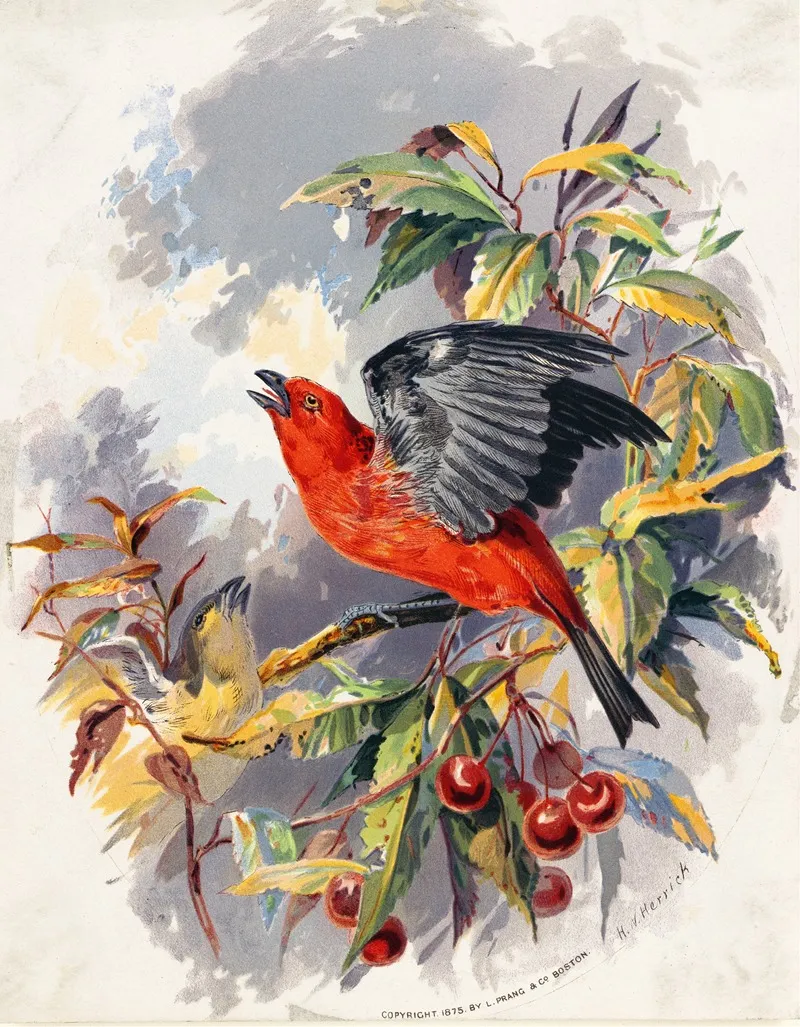 Birds Ii Wall Art by Henry Walker Herrick - High-Resolution Digital Print