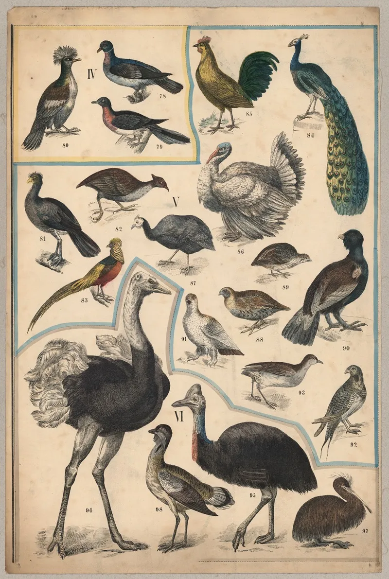 Birds Iii Wall Art by P.T. Malling - High-Resolution Digital Print