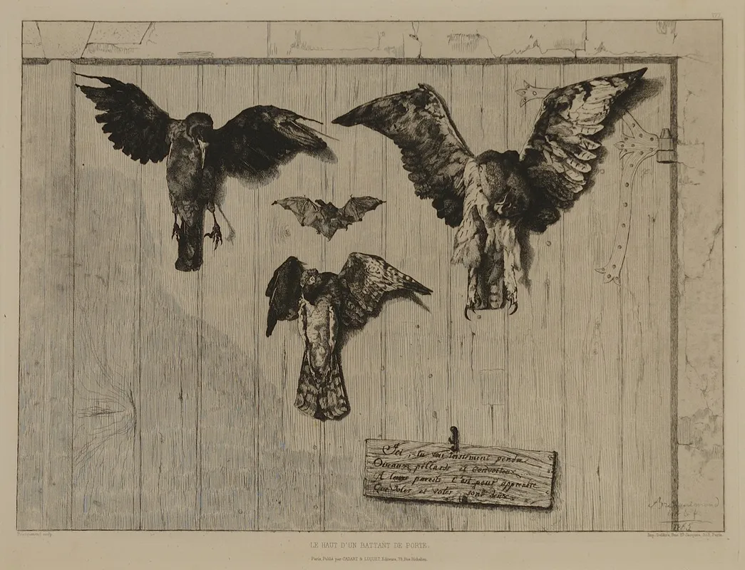 Birds Nailed To A Barn Door