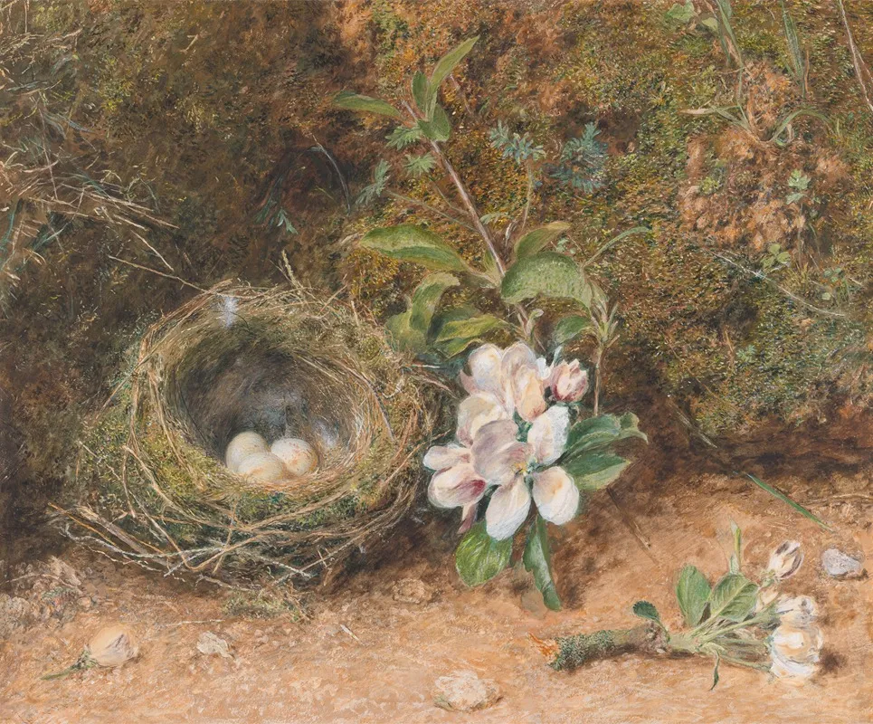 Birds Nest With Sprays Of Apple Blossoms