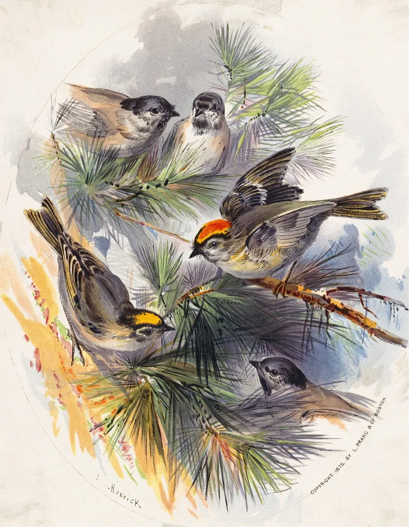 Birds Wall Art by Henry Walker Herrick - High-Resolution Digital Print