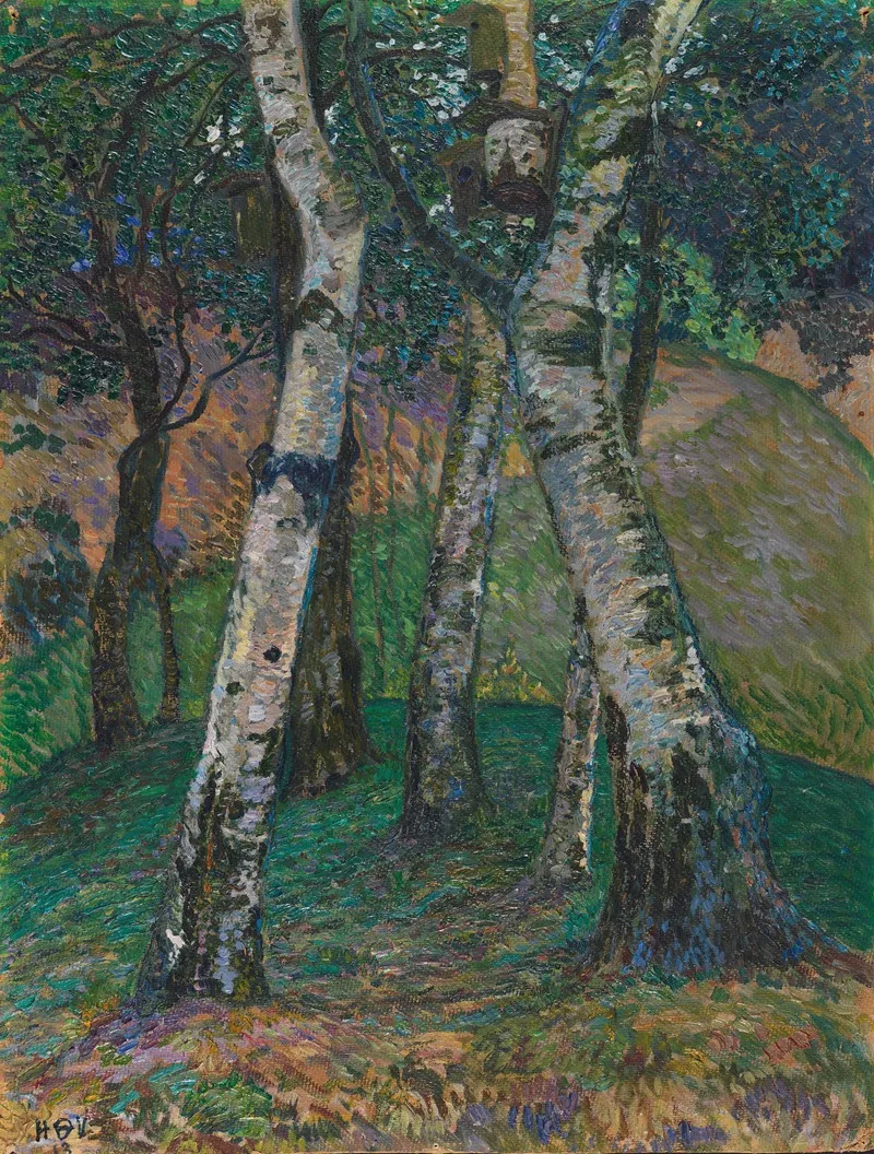 Birken Am Barkenhoff