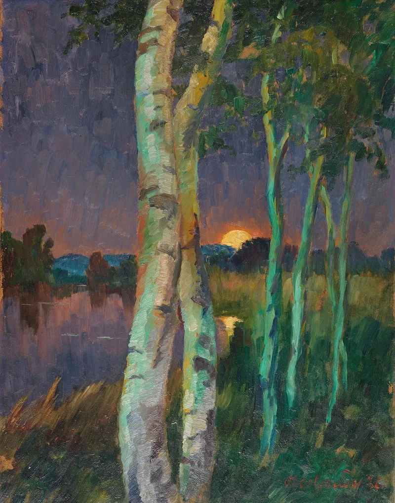 Birken Bei Sonnenuntergang