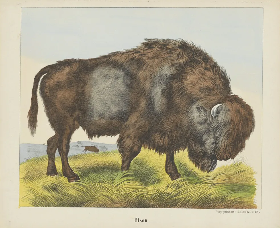 Bison 3 Wall Art by Joseph Scholz - High-Resolution Digital Print