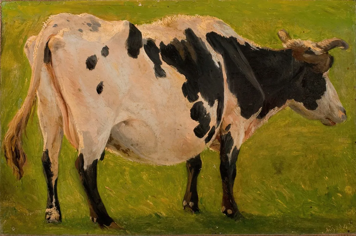 Black And White Cow Standing Study 2 Wall Art by Carlo Dalgas - High-Resolution Digital Print