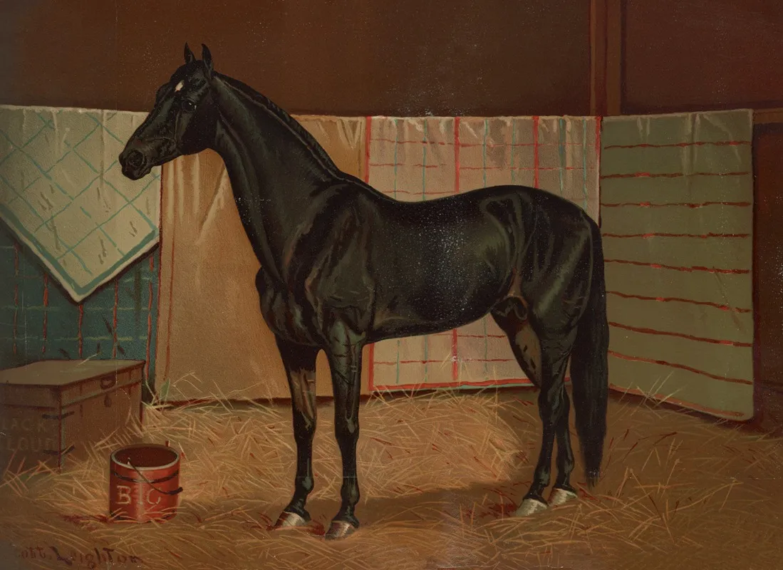 Black Cloud A Horse In Stable