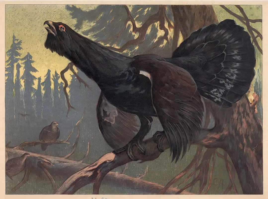 Black Grouse 2 Wall Art by H. Springer - High-Resolution Digital Print