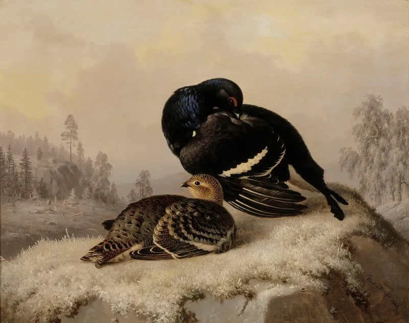 Black Grouse Cock And Hen Wall Art by Ferdinand von Wright - High-Resolution Digital Print