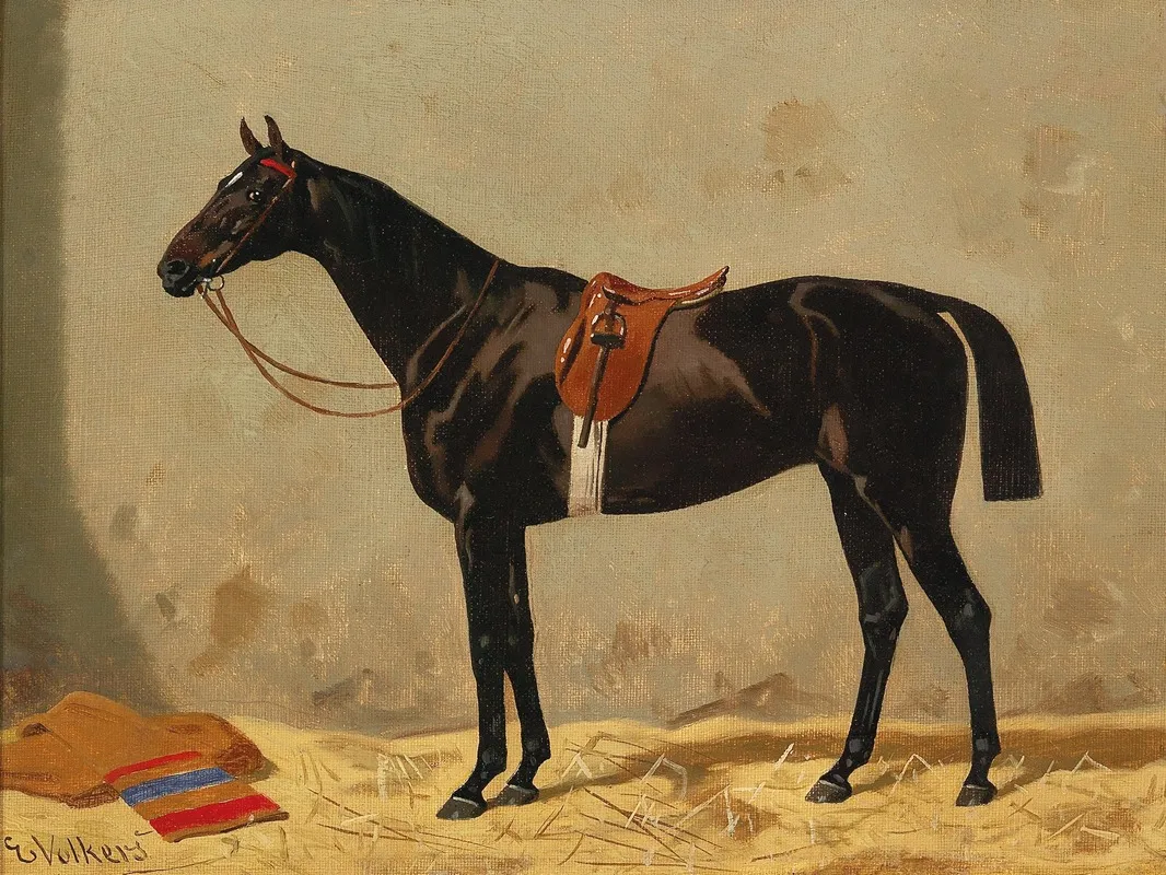Black Horse In The Stable