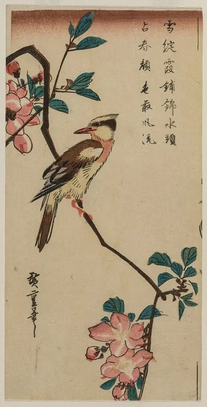 Black Naped Oriole Korean Warbler On A Hall Crabapple