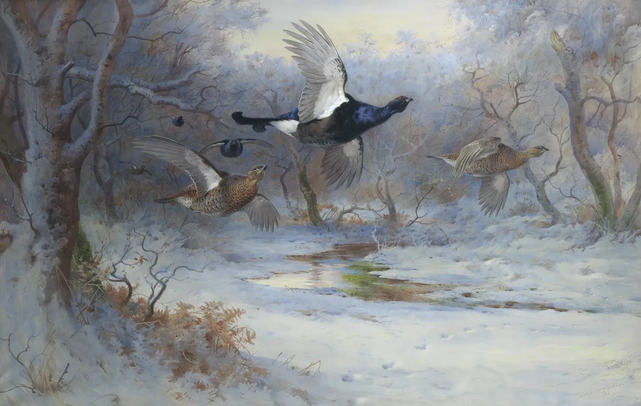 Blackcock And Grouse In Flight Winter Wall Art by Archibald Thorburn - High-Resolution Digital Print