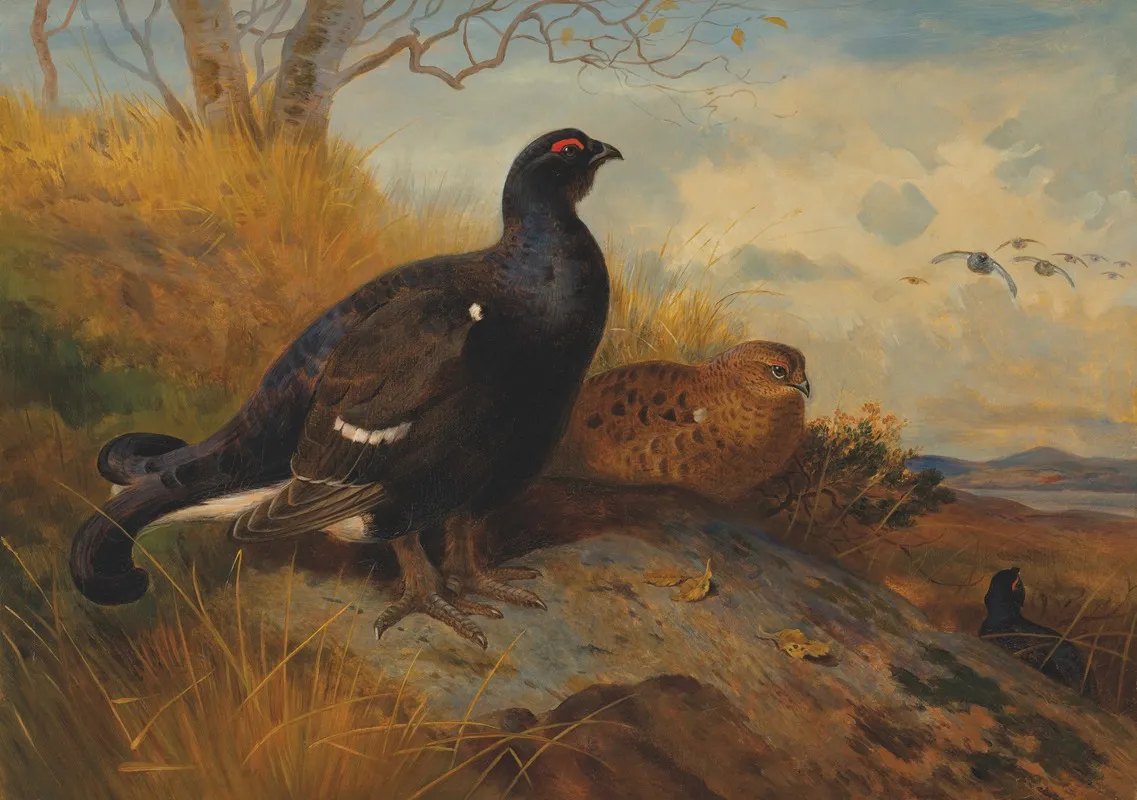 Blackgame On A Rocky Outcrop With A Loch Beyond Wall Art by Archibald Thorburn - High-Resolution Digital Print