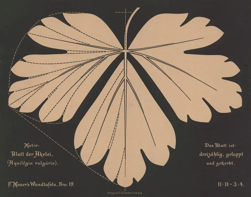 Blatt Der Akelei Aquilegia Vulgaris Wall Art by Ferdinand Moser - High-Resolution Digital Print