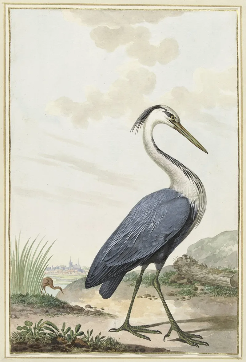 Blauwe Reiger Wall Art by Jabes Heenck - High-Resolution Digital Print