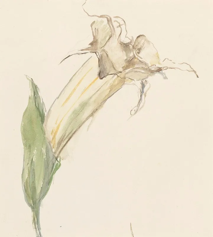 Bloem 7