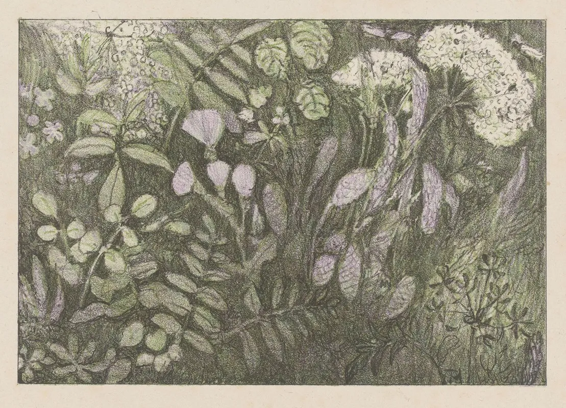 Bloemen En Planten