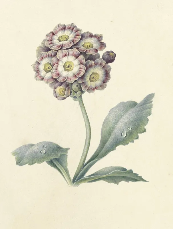 Bloemenstudie 2 Wall Art by Maria Margaretha van Os - High-Resolution Digital Print