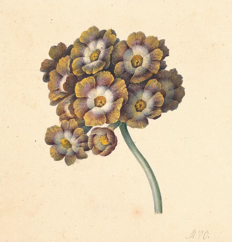 Bloemenstudie 3 Wall Art by Maria Margaretha van Os - High-Resolution Digital Print