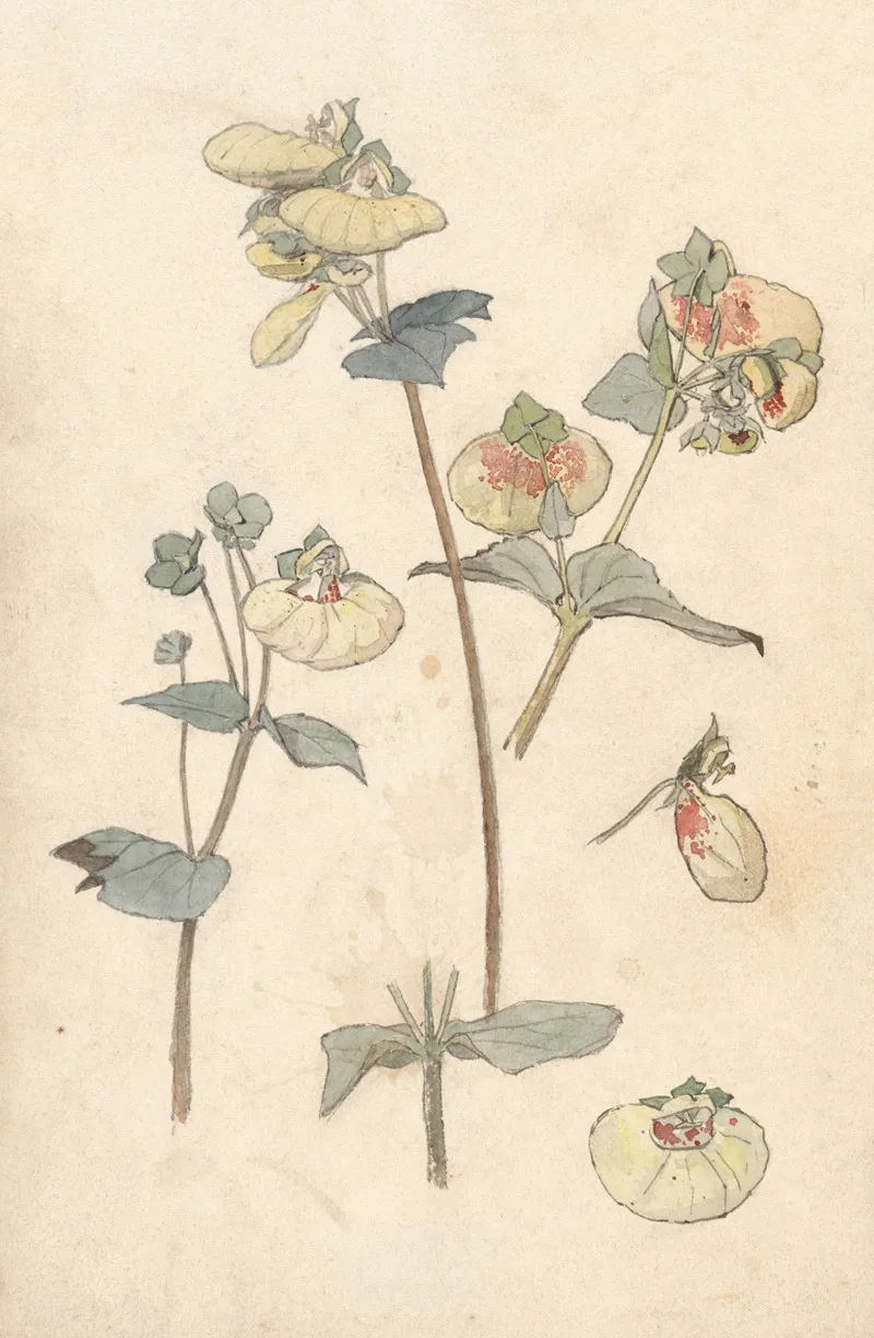 Bloemstudies 2