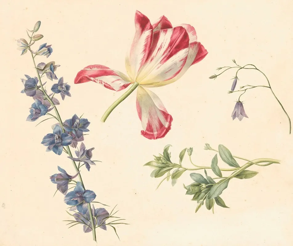 Bloemstudies Wall Art by Albertus Jonas Brandt - High-Resolution Digital Print