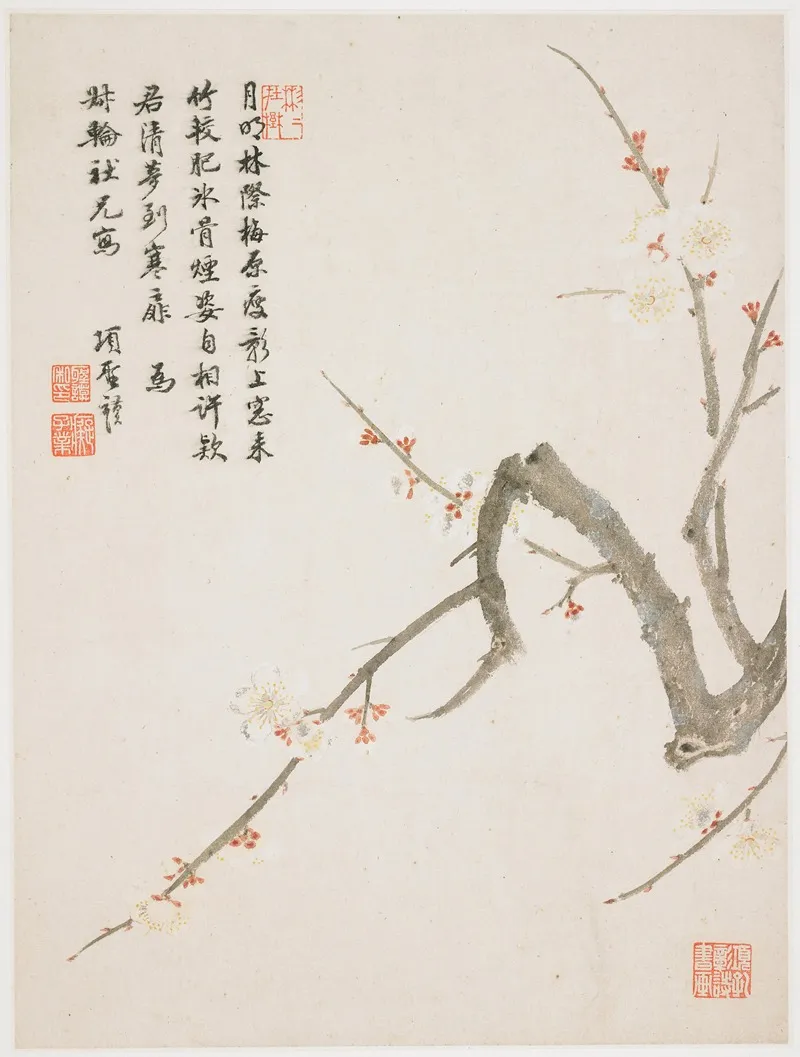 Blossoming Plum 2