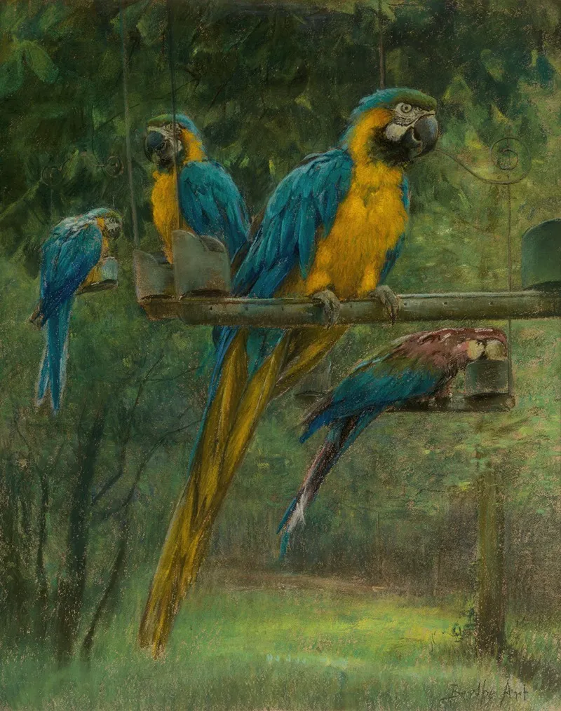 Blue And Yellow Macaws Wall Art by Berthe Art - High-Resolution Digital Print