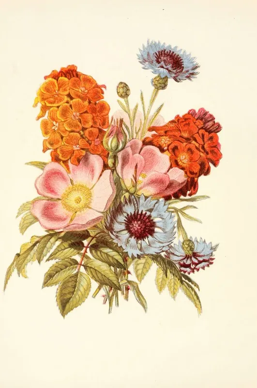 Blue Bottle Dog Rose Garden Anemone Wall Art by Robert Tyas - High-Resolution Digital Print
