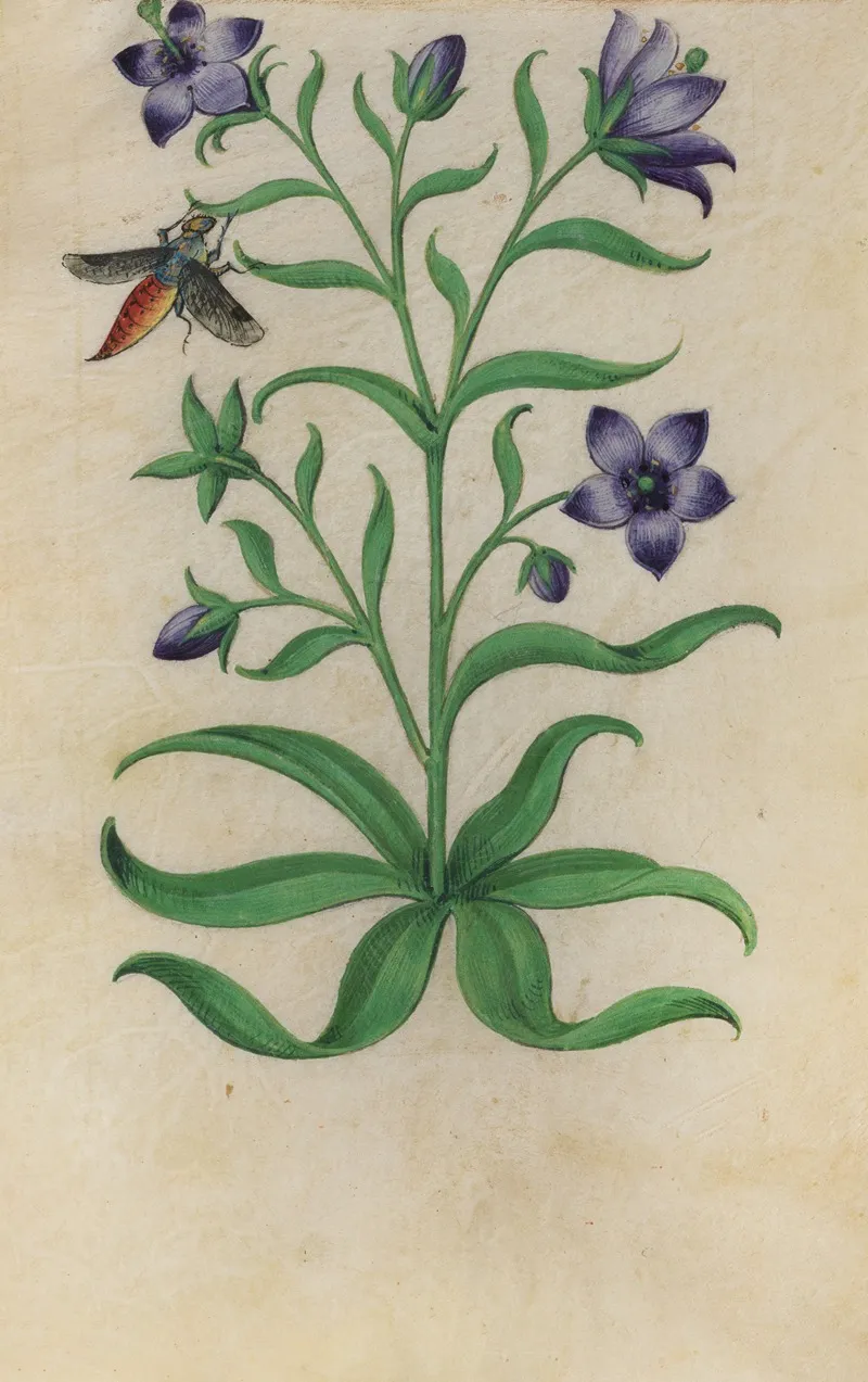 Blue Pimpernel Anagallis Foemina With A Moth Wall Art by Master of Claude de France - High-Resolution Digital Print