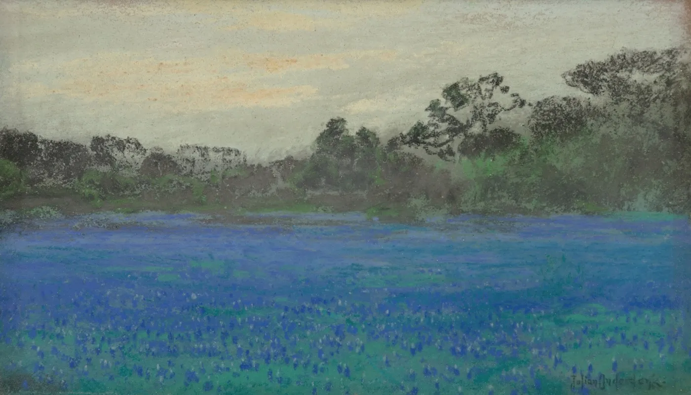 Bluebonnet Field