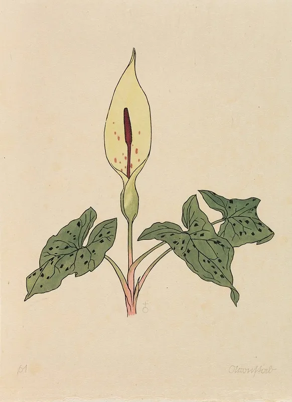 Blumenbuch Wall Art by Rudolf Koch - High-Resolution Digital Print